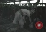 Image Mikvé Israël école agricole Palestine, 1945, de la seconde 33 séquences d'archives historiques vidéo 65675065125