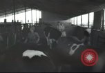 Image Mikvé Israël école agricole Palestine, 1945, de la seconde 48 séquences d'archives historiques vidéo 65675065125