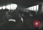 Image Mikvé Israël école agricole Palestine, 1945, de la seconde 49 séquences d'archives historiques vidéo 65675065125