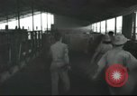 Image Mikvé Israël école agricole Palestine, 1945, de la seconde 58 séquences d'archives historiques vidéo 65675065125
