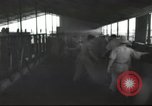 Image Mikvé Israël école agricole Palestine, 1945, de la seconde 60 séquences d'archives historiques vidéo 65675065125