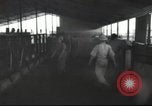 Image Mikvé Israël école agricole Palestine, 1945, de la seconde 61 séquences d'archives historiques vidéo 65675065125