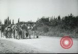 Image école agricole Palestine, 1945, de la seconde 18 séquences d'archives historiques vidéo 65675065128