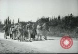 Image école agricole Palestine, 1945, de la seconde 20 séquences d'archives historiques vidéo 65675065128