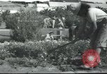 Image école agricole Palestine, 1945, de la seconde 22 séquences d'archives historiques vidéo 65675065129
