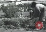 Image école agricole Palestine, 1945, de la seconde 24 séquences d'archives historiques vidéo 65675065129