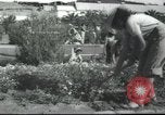 Image école agricole Palestine, 1945, de la seconde 25 séquences d'archives historiques vidéo 65675065129