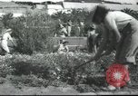 Image école agricole Palestine, 1945, de la seconde 26 séquences d'archives historiques vidéo 65675065129