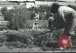 Image école agricole Palestine, 1945, de la seconde 27 séquences d'archives historiques vidéo 65675065129