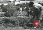 Image école agricole Palestine, 1945, de la seconde 28 séquences d'archives historiques vidéo 65675065129