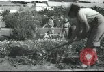 Image école agricole Palestine, 1945, de la seconde 29 séquences d'archives historiques vidéo 65675065129