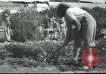 Image école agricole Palestine, 1945, de la seconde 34 séquences d'archives historiques vidéo 65675065129