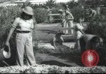 Image école agricole Palestine, 1945, de la seconde 36 séquences d'archives historiques vidéo 65675065129
