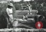Image école agricole Palestine, 1945, de la seconde 37 séquences d'archives historiques vidéo 65675065129