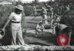 Image école agricole Palestine, 1945, de la seconde 38 séquences d'archives historiques vidéo 65675065129