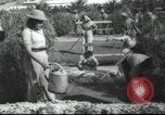Image école agricole Palestine, 1945, de la seconde 39 séquences d'archives historiques vidéo 65675065129