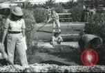 Image école agricole Palestine, 1945, de la seconde 43 séquences d'archives historiques vidéo 65675065129