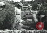 Image école agricole Palestine, 1945, de la seconde 46 séquences d'archives historiques vidéo 65675065129