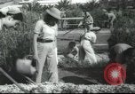 Image école agricole Palestine, 1945, de la seconde 47 séquences d'archives historiques vidéo 65675065129