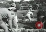 Image école agricole Palestine, 1945, de la seconde 48 séquences d'archives historiques vidéo 65675065129