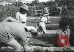 Image école agricole Palestine, 1945, de la seconde 49 séquences d'archives historiques vidéo 65675065129