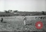 Image école agricole Palestine, 1945, de la seconde 60 séquences d'archives historiques vidéo 65675065129