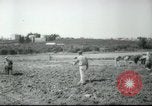 Image école agricole Palestine, 1945, de la seconde 61 séquences d'archives historiques vidéo 65675065129