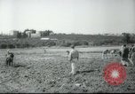 Image école agricole Palestine, 1945, de la seconde 62 séquences d'archives historiques vidéo 65675065129