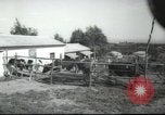 Image école agricole Palestine, 1945, de la seconde 4 séquences d'archives historiques vidéo 65675065130
