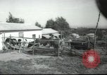 Image école agricole Palestine, 1945, de la seconde 5 séquences d'archives historiques vidéo 65675065130