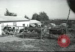 Image école agricole Palestine, 1945, de la seconde 7 séquences d'archives historiques vidéo 65675065130