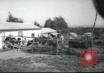 Image école agricole Palestine, 1945, de la seconde 8 séquences d'archives historiques vidéo 65675065130
