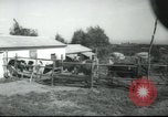 Image école agricole Palestine, 1945, de la seconde 9 séquences d'archives historiques vidéo 65675065130
