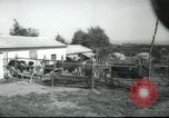 Image école agricole Palestine, 1945, de la seconde 10 séquences d'archives historiques vidéo 65675065130