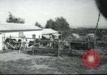 Image école agricole Palestine, 1945, de la seconde 11 séquences d'archives historiques vidéo 65675065130