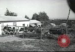 Image école agricole Palestine, 1945, de la seconde 12 séquences d'archives historiques vidéo 65675065130