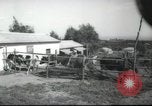 Image école agricole Palestine, 1945, de la seconde 13 séquences d'archives historiques vidéo 65675065130