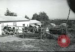 Image école agricole Palestine, 1945, de la seconde 14 séquences d'archives historiques vidéo 65675065130