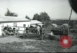 Image école agricole Palestine, 1945, de la seconde 15 séquences d'archives historiques vidéo 65675065130