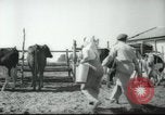Image école agricole Palestine, 1945, de la seconde 18 séquences d'archives historiques vidéo 65675065130