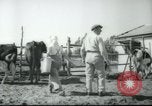 Image école agricole Palestine, 1945, de la seconde 19 séquences d'archives historiques vidéo 65675065130