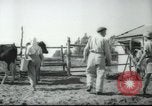 Image école agricole Palestine, 1945, de la seconde 20 séquences d'archives historiques vidéo 65675065130