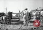 Image école agricole Palestine, 1945, de la seconde 21 séquences d'archives historiques vidéo 65675065130