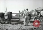 Image école agricole Palestine, 1945, de la seconde 22 séquences d'archives historiques vidéo 65675065130
