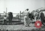 Image école agricole Palestine, 1945, de la seconde 23 séquences d'archives historiques vidéo 65675065130