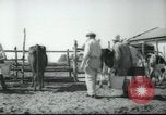 Image école agricole Palestine, 1945, de la seconde 24 séquences d'archives historiques vidéo 65675065130