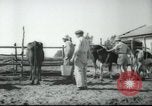 Image école agricole Palestine, 1945, de la seconde 26 séquences d'archives historiques vidéo 65675065130