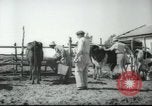 Image école agricole Palestine, 1945, de la seconde 27 séquences d'archives historiques vidéo 65675065130