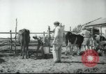 Image école agricole Palestine, 1945, de la seconde 28 séquences d'archives historiques vidéo 65675065130