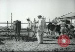 Image école agricole Palestine, 1945, de la seconde 30 séquences d'archives historiques vidéo 65675065130